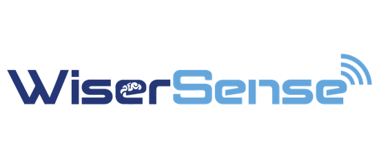 WISERSENSE
